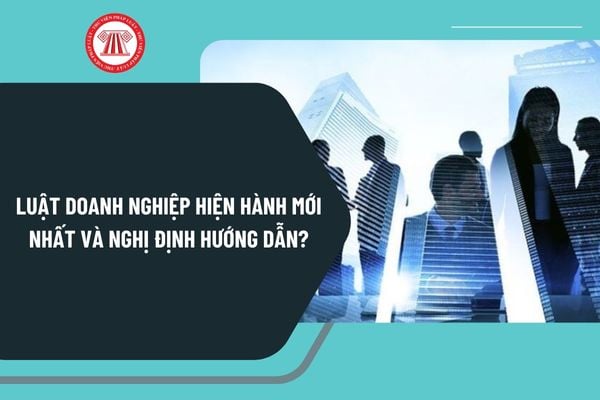 Pháp luật