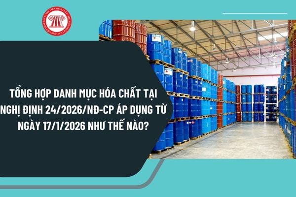 Pháp luật