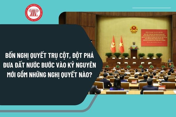 Pháp luật