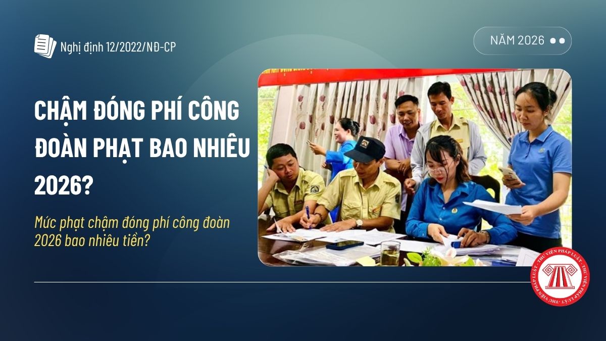 Pháp luật