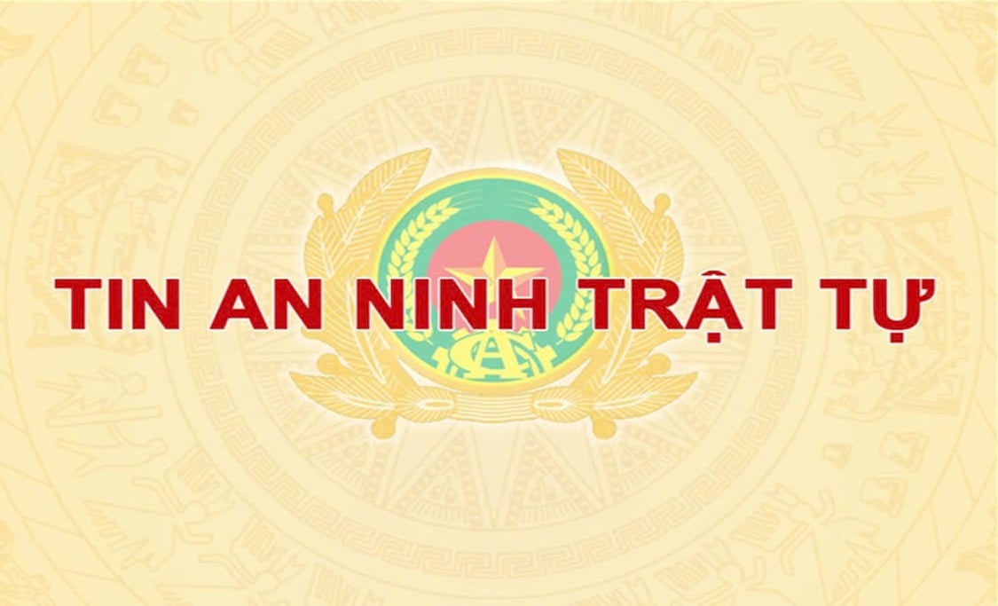 Pháp luật