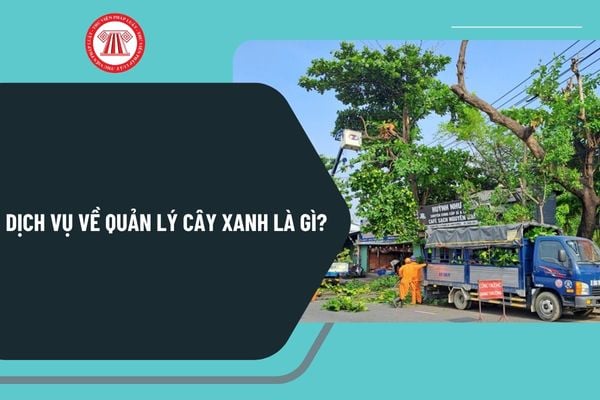 Pháp luật