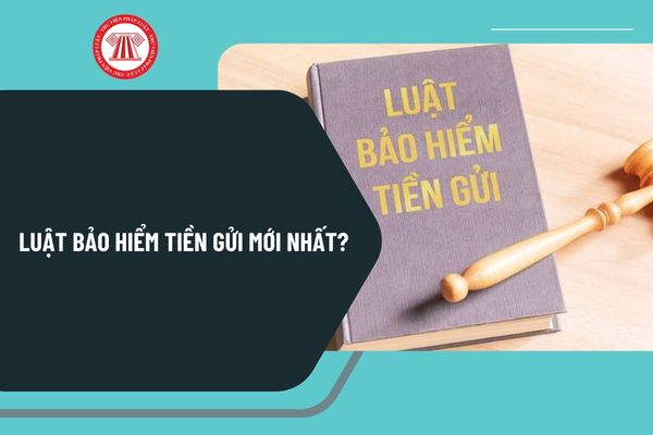Pháp luật