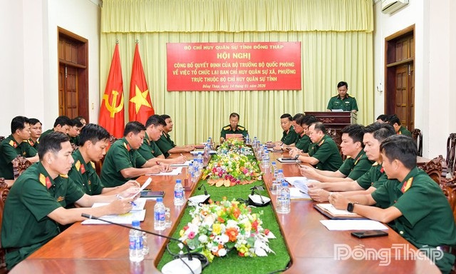 Pháp luật