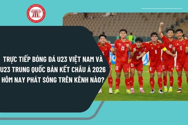 Pháp luật