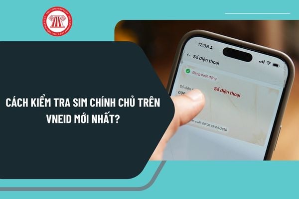 Pháp luật