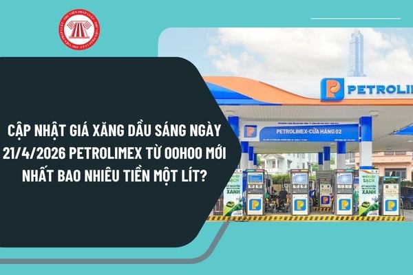 Pháp luật