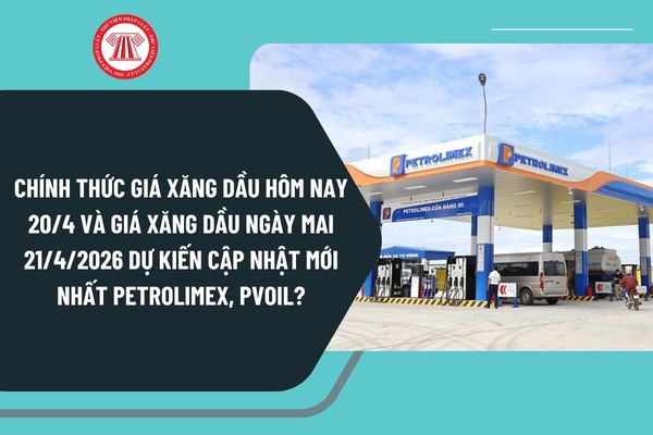 Pháp luật