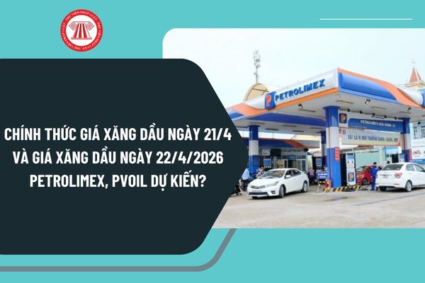 Pháp luật