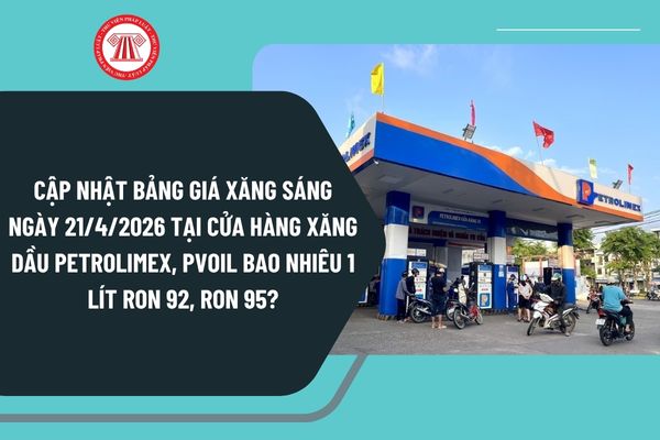 Pháp luật