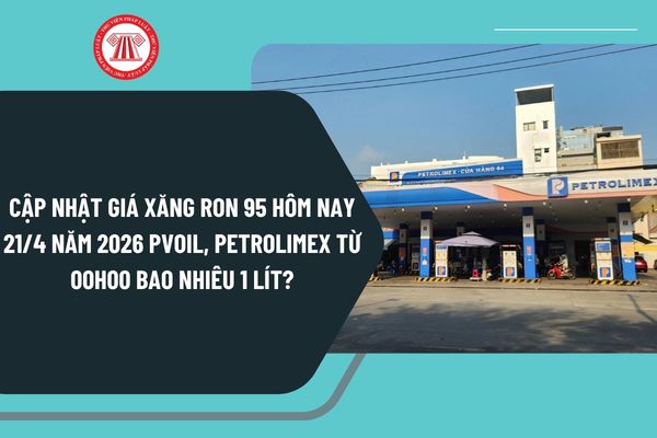 Pháp luật