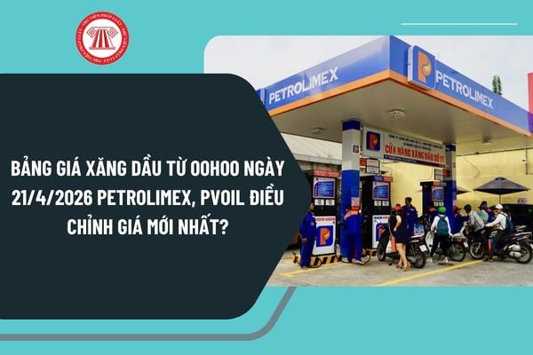 Pháp luật