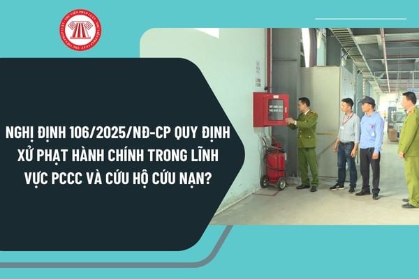 Pháp luật