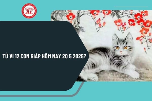Tử vi 12 con giáp hôm nay 20 5 2025 chi tiết? Tử vi hôm nay 20 5 2025 ra sao? Tử vi tài lộc 12 con giáp 20 5 2025?