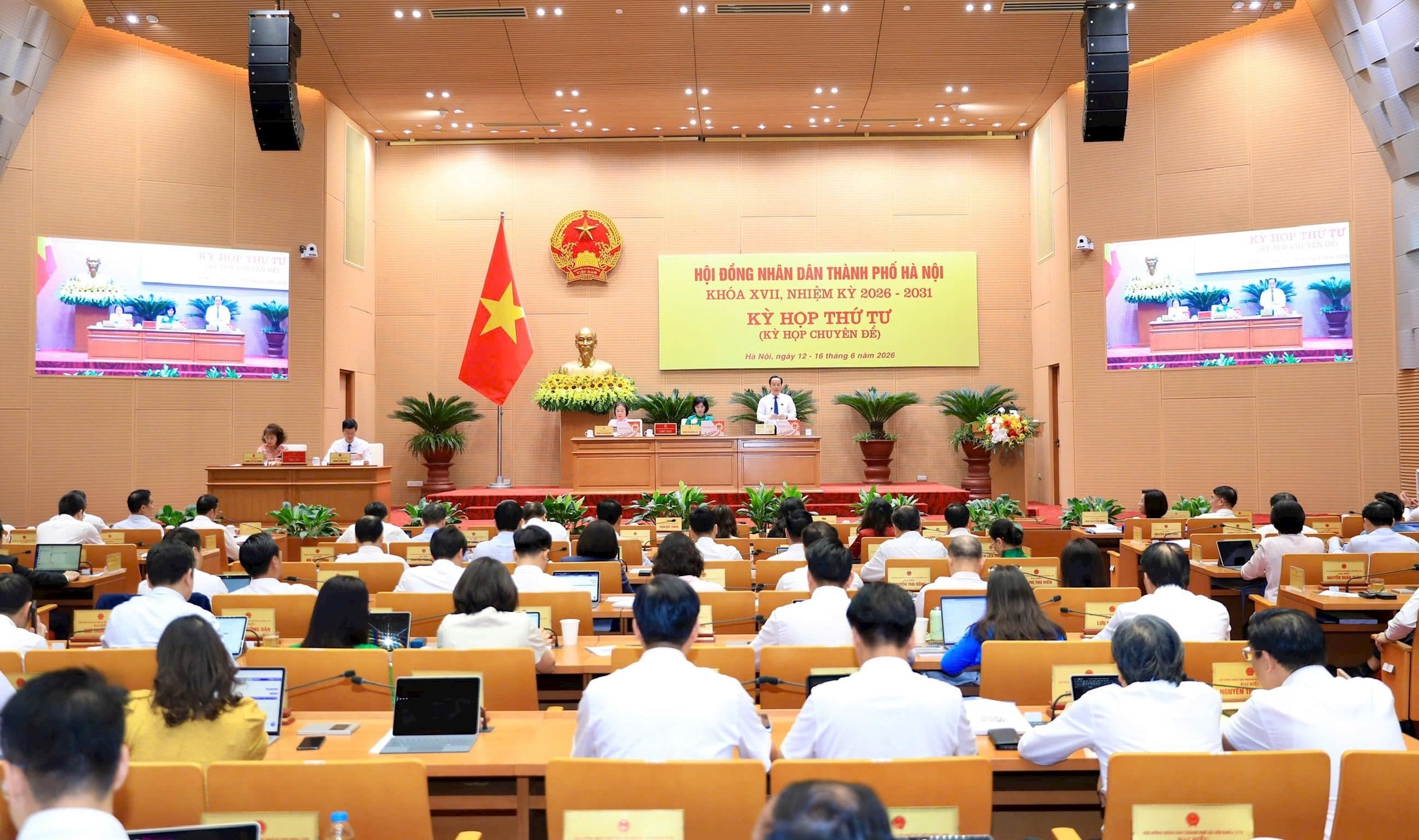 Pháp luật