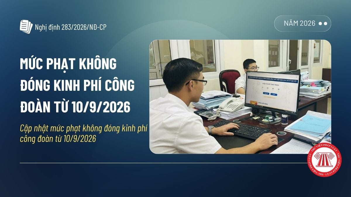Pháp luật