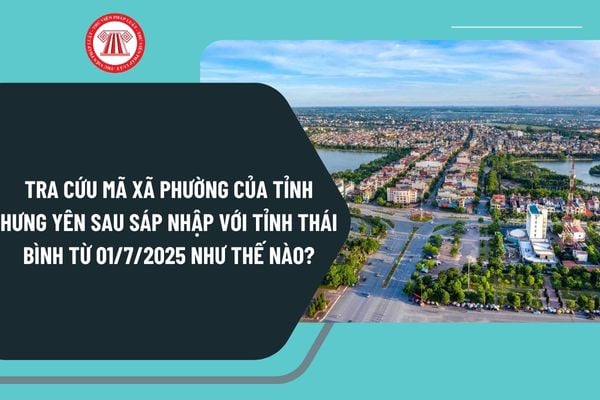 Pháp luật