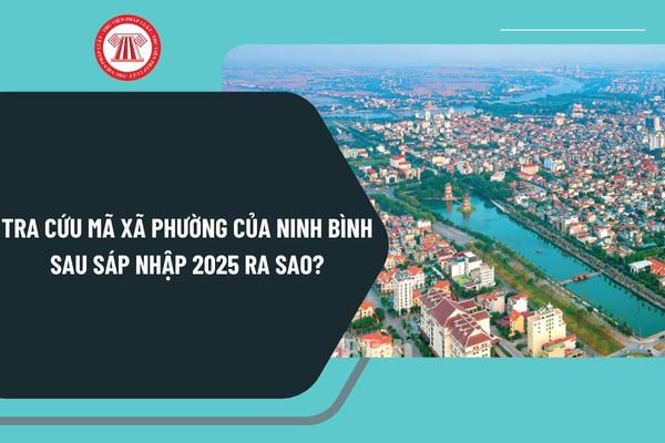 Tra cứu mã xã phường của Ninh Bình sau sáp nhập 2025 ra sao? Bảng mã số đơn vị hành chính xã phường tỉnh Ninh Bình?