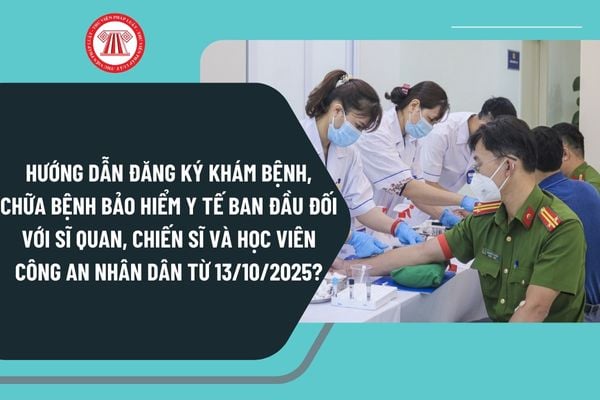 Pháp luật