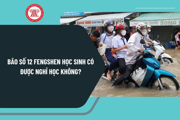 Pháp luật