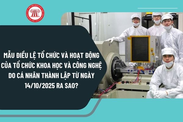 Pháp luật