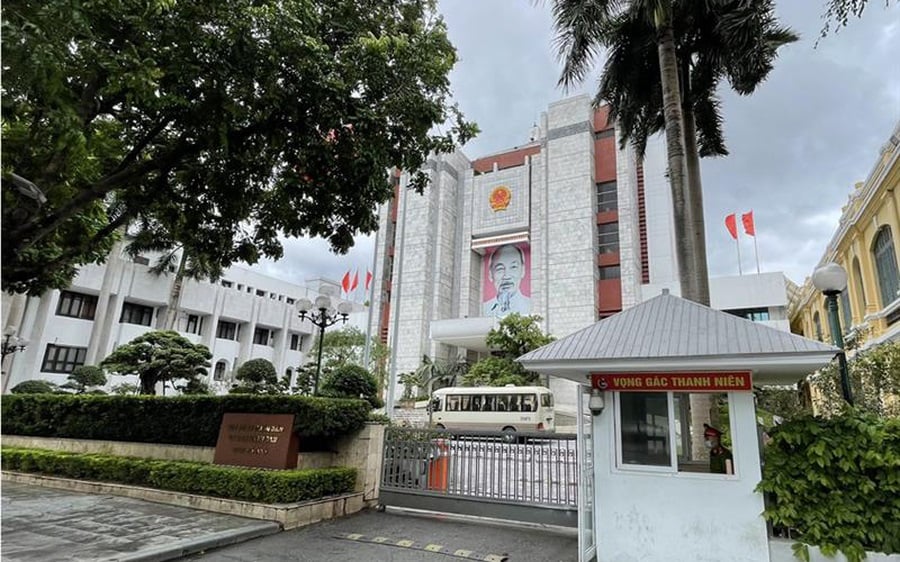 Pháp luật