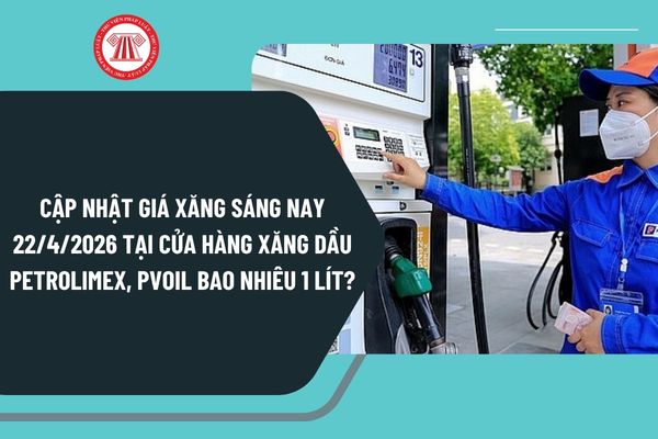 Pháp luật