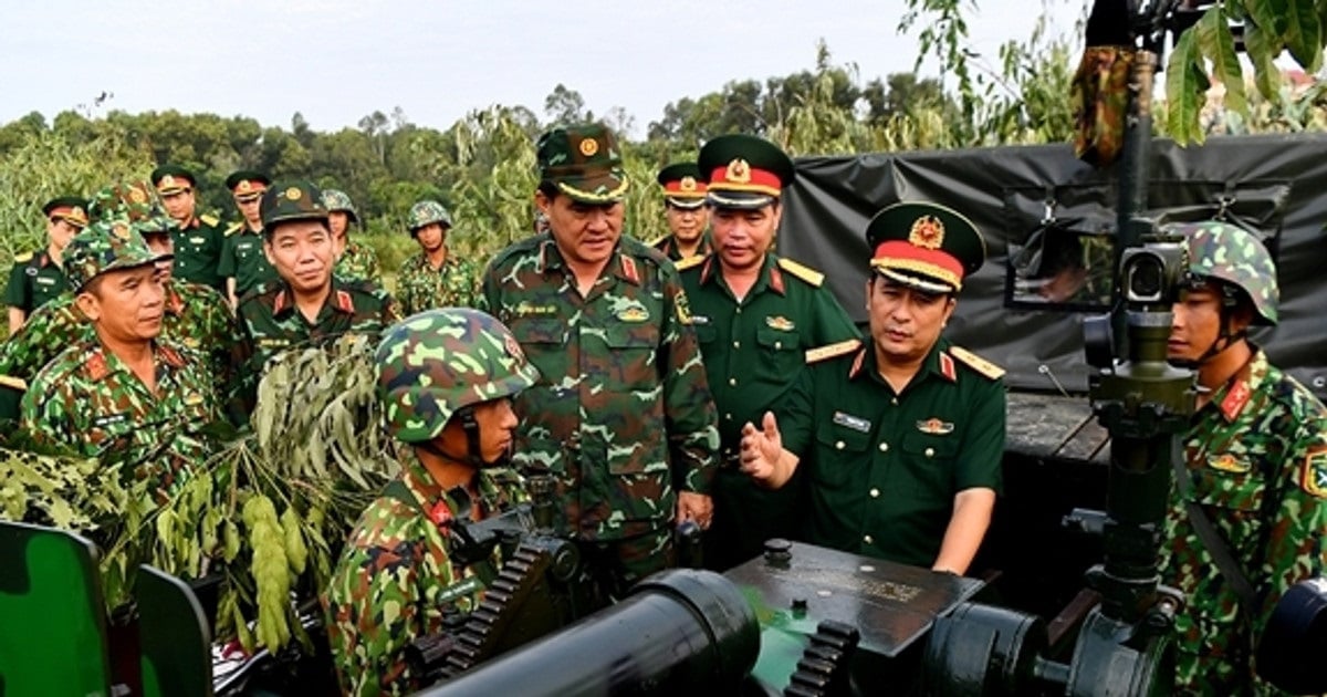 Pháp luật