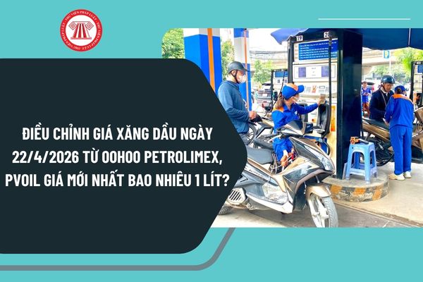 Pháp luật