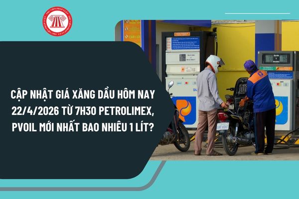 Pháp luật