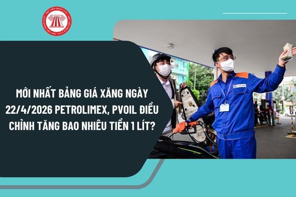Pháp luật