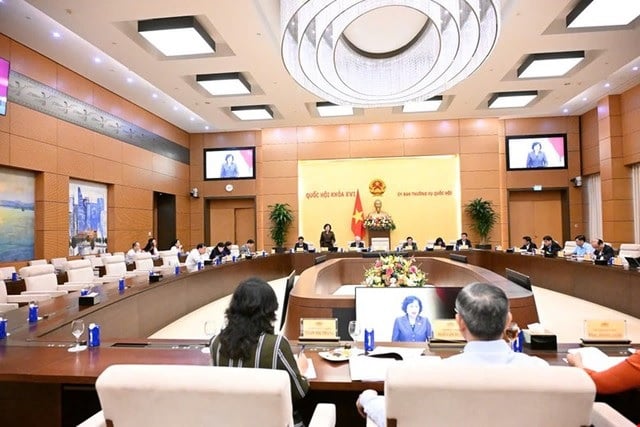 Pháp luật