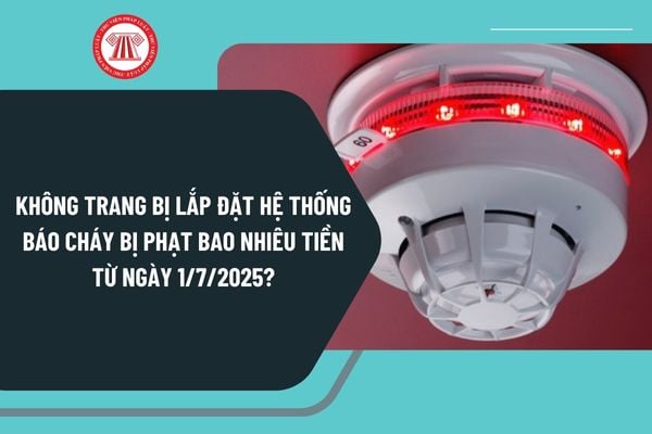 Pháp luật