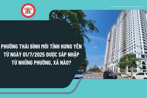 Pháp luật