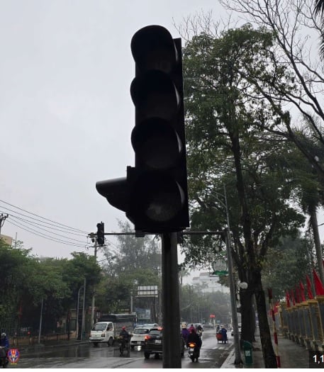 Pháp luật