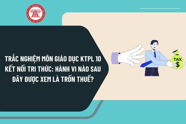 Pháp luật