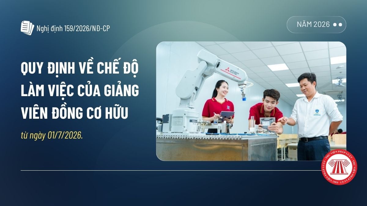 Pháp luật