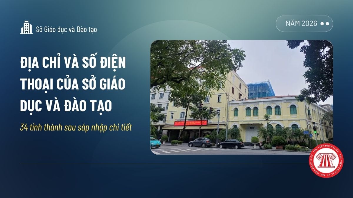 Pháp luật