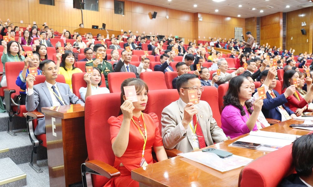 Pháp luật