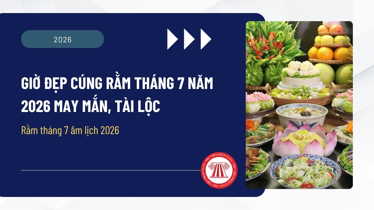 Pháp luật