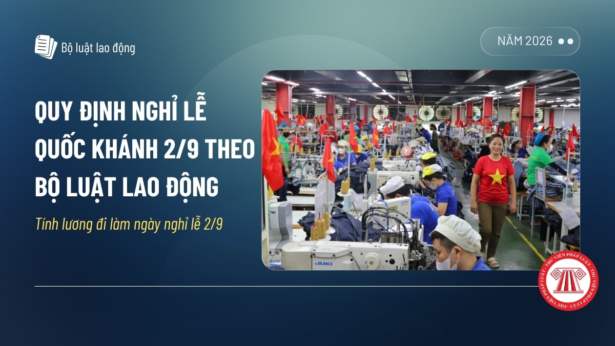 Pháp luật