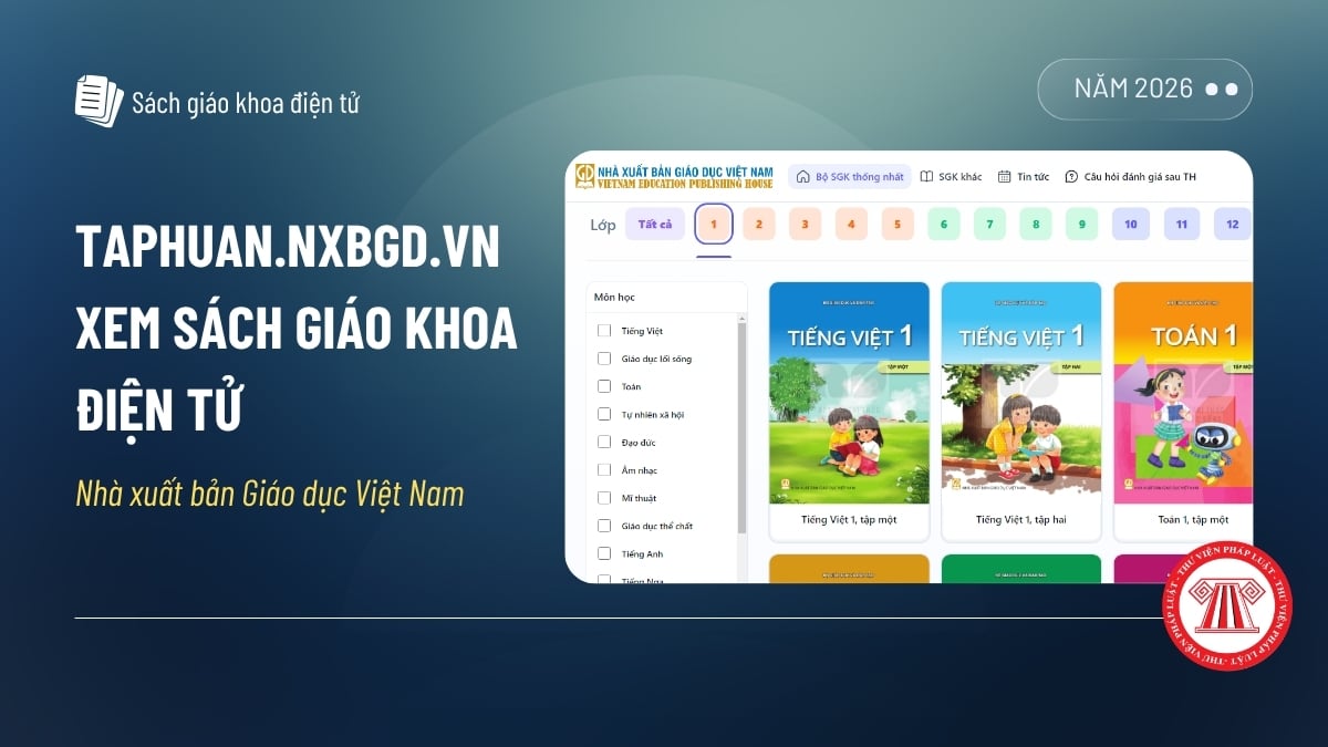 Pháp luật