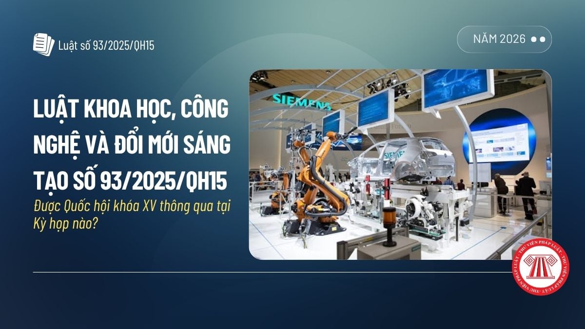 Pháp luật