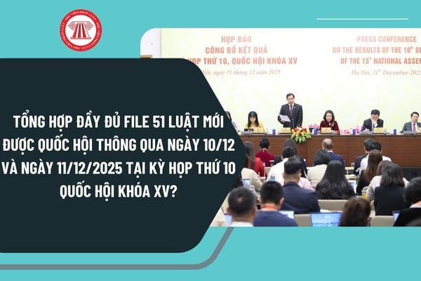 Pháp luật
