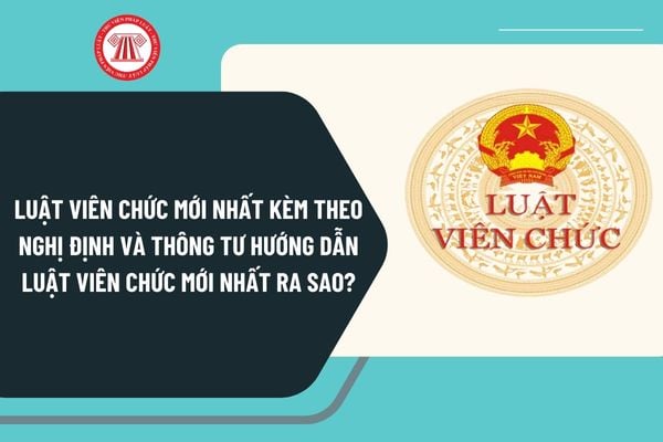 Pháp luật