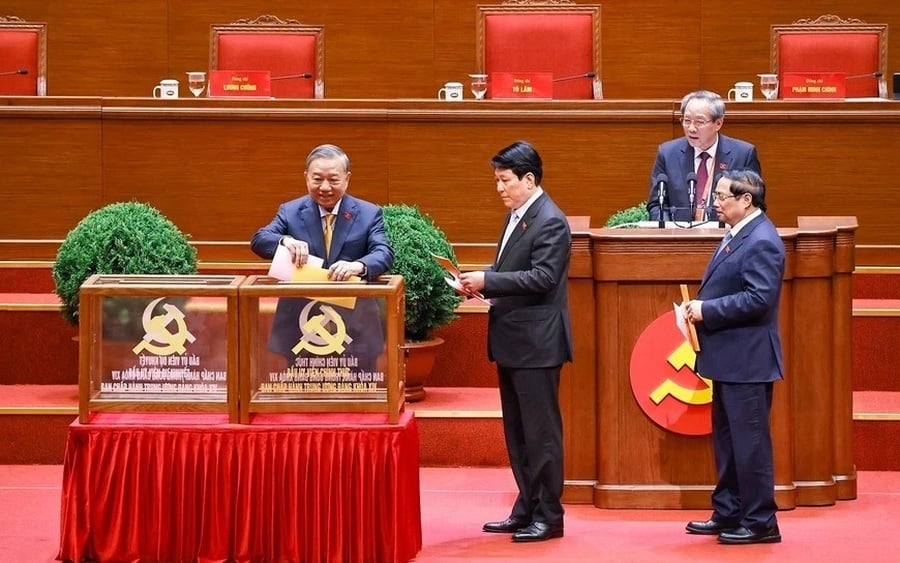 Pháp luật