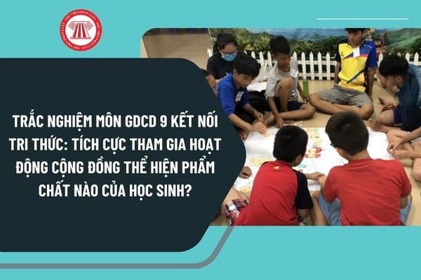 Pháp luật