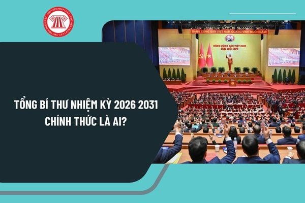 Pháp luật