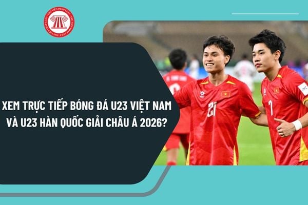Pháp luật