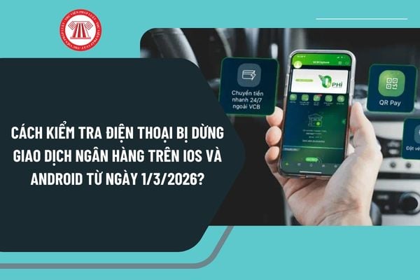 Pháp luật